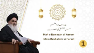 Mah e Ramzan E Azeem Me Bakhshish Ki Fursat | Ayatollah Sayyid Sadiq Hussaini Shirazi Ke Bayanat