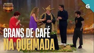 OLLO co SIGNIFICADO dos GRANS de CAFÉ na QUEIMADA | TALENTOS EXTRAORDINARIOS