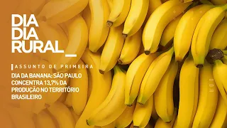 Banana Day: São Paulo Accounts for 13.7% of Brazilian Production