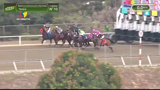 10ª. carrera | 5ª. válida | TALE OF MAY (USA) | Hipódromo La Rinconada | Reunión 06 | 2026