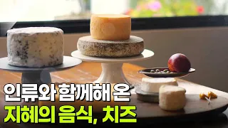 음식 X-파일: 인류와 함께해 온 지혜의 음식, 치즈 [2TV 생생정보] | KBS 260819 방송