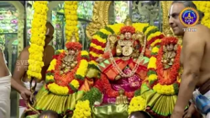 Sri Govindarajaswamy vari || Unjal seva || Tirupati || SVBC2 Tamil || 02-03-2026 || SVBC TTD