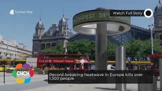 WHO reports record-breaking heat wave in Europe kills over 1,300 people
