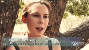 TG3 Agenda del mondo del 26/06/2016