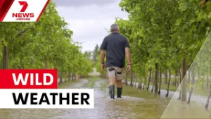 Victoria smashed by intense rain leaving costly clean-up bill | 7NEWS