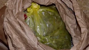 Plantaža marihuane u Bijeljini: Istraga u toku, među suvlasnicima i Dodikov šef osiguranja