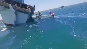 Ship with 1M Sheep Capsizes – Chaos at Sea!