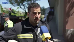 Incêndio mata três cães e faz três feridos em Santo Tirso