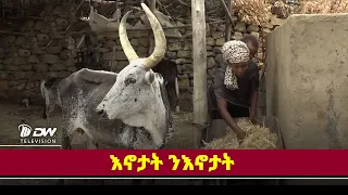 DWl  እኖታት ንእኖታት