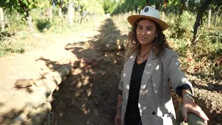 Among Vineyards, Flavors, and Glasses - S1E3