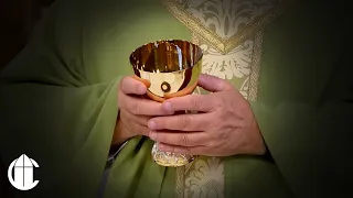 La Santa Misa | XV Domingo Ordinario
