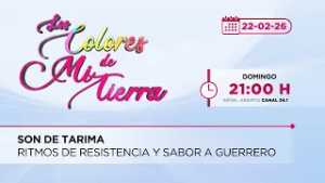 SON DE TARIMA: Ritmos de Resistencia y Sabor a Guerrero | Los Colores de mi Tierra | 22-02-26