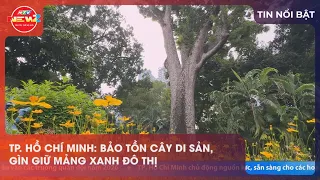 6 AM Preserving heritage trees 8 PM L