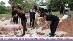 Loei Province Continues Royal Initiative to Restore Food Sources for Wild Elephants in Phu Luang ...