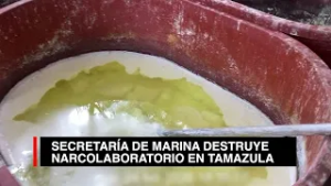Marina y FGR destruyen laboratorio clandestino en Tamazula, Durango