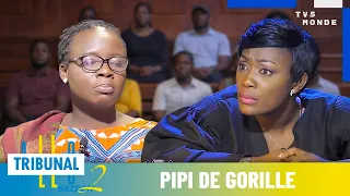 ALLÔ TRIBUNAL : Pipi de gorille | Série Comédie 🇨🇮 | S2EP28