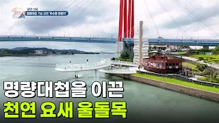 [알면 보물] 명량대첩을 이끈 천연 요새 울돌목 [생방송 굿모닝 대한민국] | KBS 260710 방송