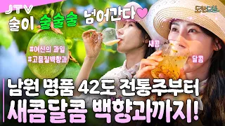 [도란도란] 남원 명품 42도 전통주부터 새콤달콤 백향과까지!