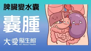 【大愛醫生館】 脾臟變水囊 20260713