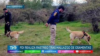 En Puente Negro, PDI realiza rastreo con Brigada Canina por hallazgo de osamentas