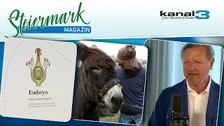 Long-distance hiking with a donkey, re:think media 2026, Blümchensex, STMK KW23/2026