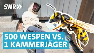 Alltag eines Kammerjägers: Er tötet Schädlinge um Menschen zu schützen