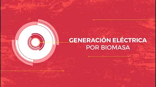 Electricity generation from biomass