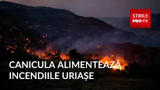 Heatwave reignites wildfires in 4 countries