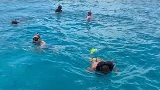 ‘It was like a huge dog bite’: Niantic man recounts shark attack while snorkeling in the Bahamas