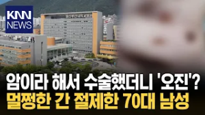 "내 간 왜 떼어 갔나?" 수술 후 오진 통보 '논란' / KNN