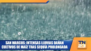 San Marcos: Intense rains damage corn crops following prolonged drought