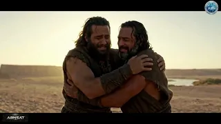 When Brothers Turn Against Each Other From Rivalry to Redemption