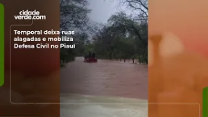 Temporal deixa ruas alagadas e mobiliza Defesa Civil no Piauí