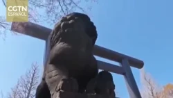 Why does the Yasukuni Shrine refuse to return the Chinese stone lions?