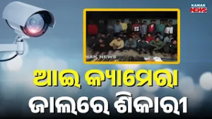 AI Camera Catches 39 Poachers in Similipal Sanctuary: Huge Weapons Seized