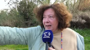 Roma, allarme roghi tossici alla Magliana. Sotto il Viadotto bomba ecologica a rischio incendio