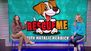 Rescue Me with Multiple Breed Rescue