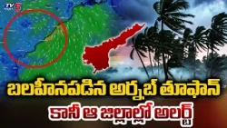 Cyclone Arnab Weakens | Cyclone Arnab Weakens In Andhra Pradesh | TV5 News