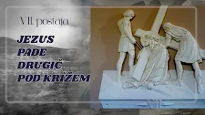 Križev pot škofa, dr. Jožefa Smeja v verzih