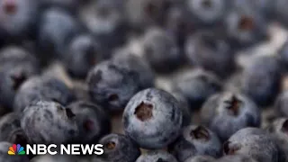 FDA upgrades frozen berry recall to highest risk level