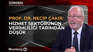 "Service Sector Productivity Lower Than Agriculture" | Prof. Dr. Necip Çakır