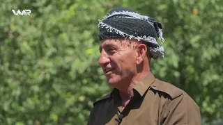 Pesar - Şîlanê | پەسار- شیلانێ
