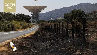 Wildfires Cause Severe Damage in the Community of Madrid