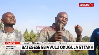 Agataliikonfuufu Abaali banywanyibe ba Kafeero bategese ebivvulu okusonda ssente z’okugulira bamulek