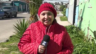 12 AGO 2026 Karol Cariola cuestiona requerimiento del Gobierno ante el Tribunal Constitucional