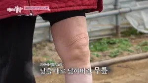 둘이 하나, 껌딱지 부부_엄마의 봄날 543회 예고 TV CHOSUN 260208 방송