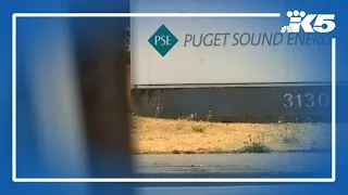 Puget Sound Energy proposes three-year rate hikes