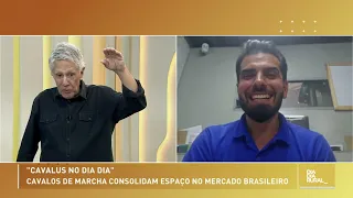 Gaited horses solidify their position in the Brazilian market