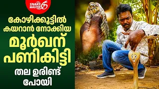 കോഴിയെ പിടിക്കാൻ പോയി പണി കിട്ടി | Snake Rescue From Net | Snakemaster EP 1212