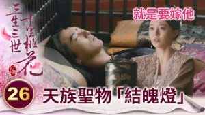 傳說素錦族有一聖物 它可以匯聚仙者的元神 還能挾它嫁給太子？【三生三世十里桃花】精華 EP26-7 楊冪、趙又廷、迪麗熱巴、高偉光、張智堯 @ctvdrama_classic